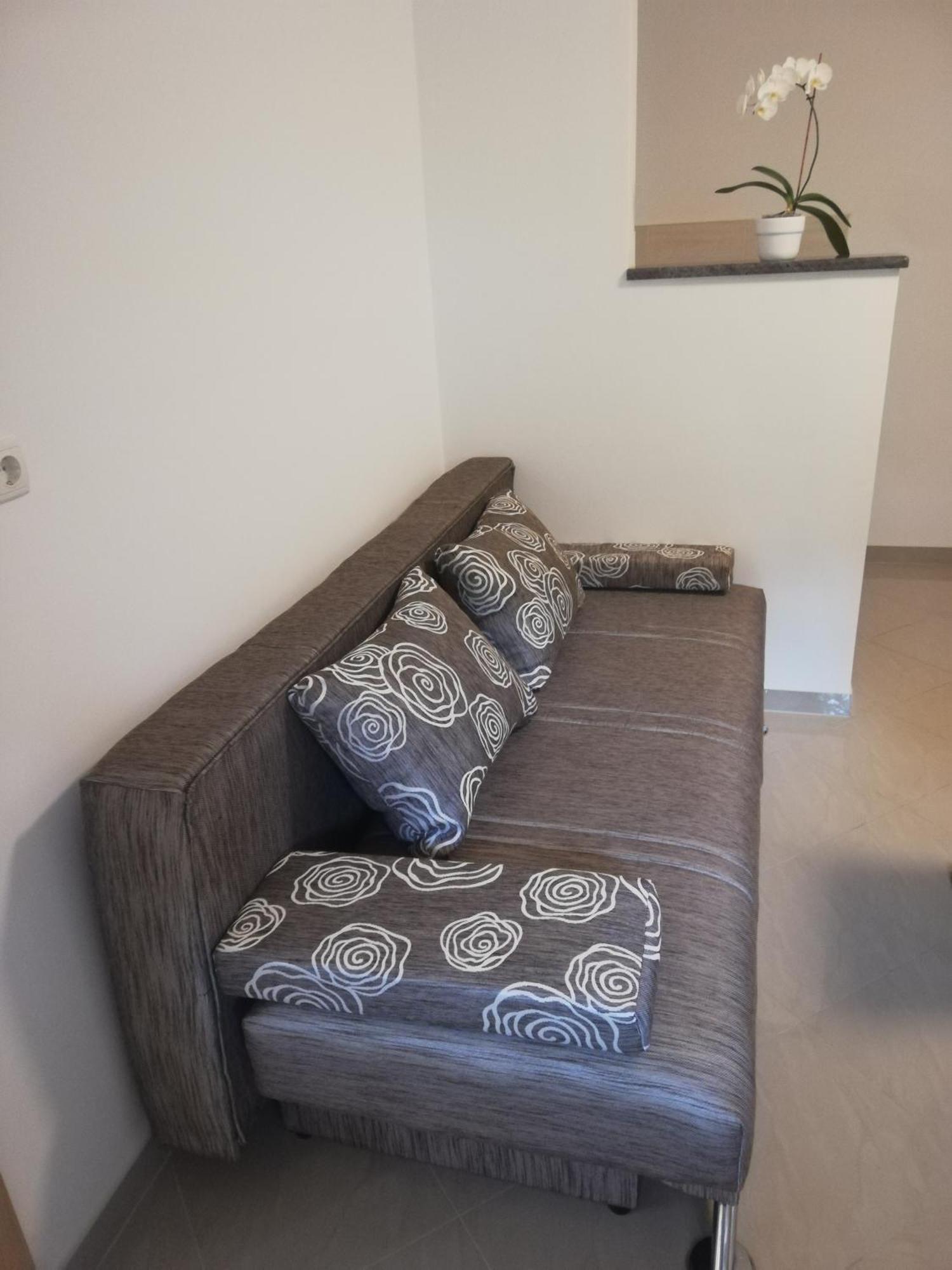 Guesthouse Vesna セニ エクステリア 写真